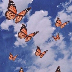 Meet your Posher, Iana